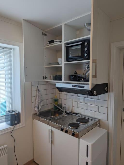 Apartment Sentralt I